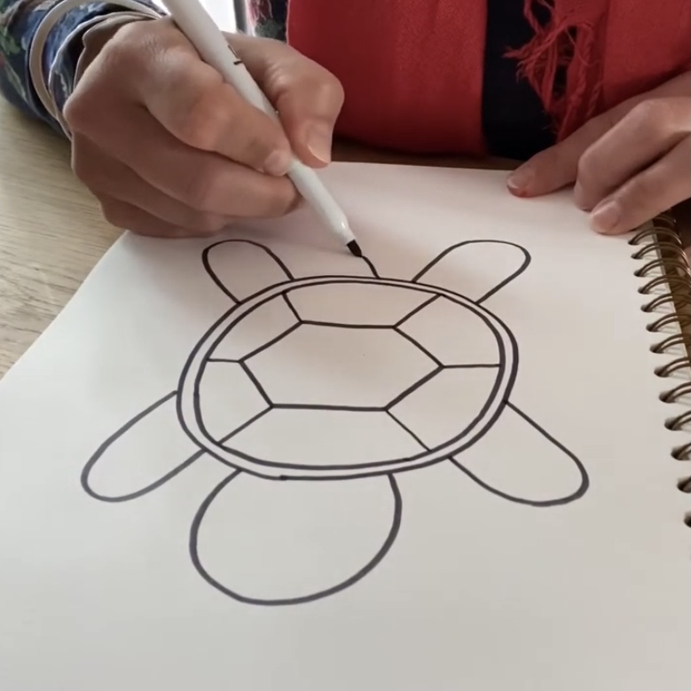 Draw Along Turtle